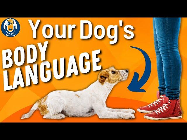 Dog Body Language: Understanding Canine Communication Signals And Emotions #157 #podcast