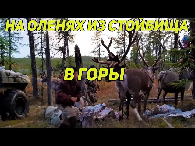 ️ КАК ЭВЕНКИ ЕХАЛИ НА ПРАЗДНИК, ОЧЕНЬ ОПАСАЯСЬ НЕ УСПЕТЬ