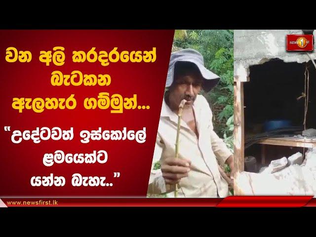 වන අලි කරදරයෙන් බැටකන ඇලහැර ගම්මුන් | Elephant Attacks #Polonnaruwa