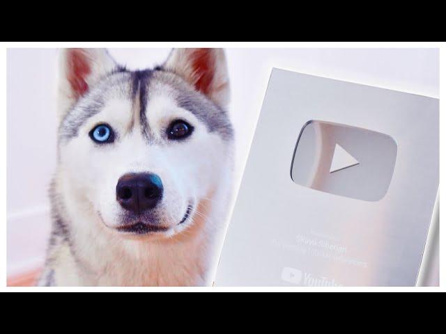 Dog Unboxes Silver Play Button (and nearly DESTROYS it!)