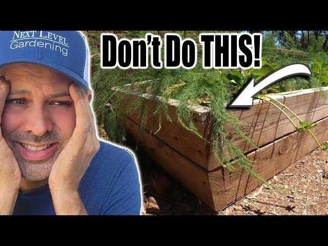 10 Common Raised Bed Garden Mistakes