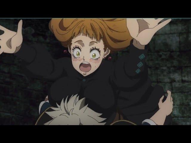 Mimosa falls on Asta