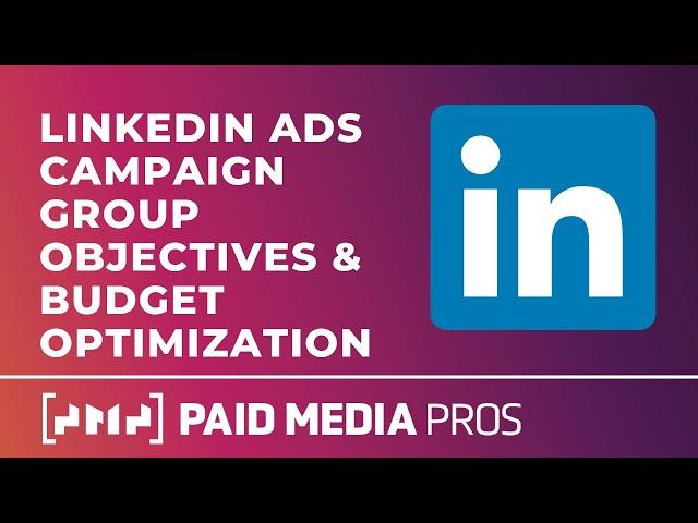 LinkedIn Campaign Group Objectives and Budget Optimization