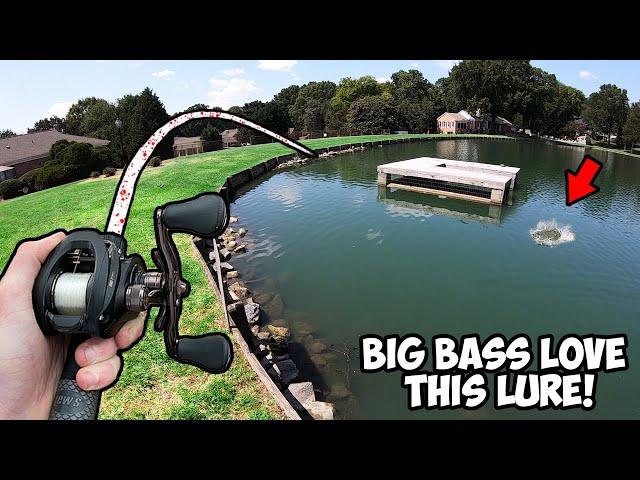 THROW THIS LURE to catch MONSTER BASS RIGHT NOW! (Best Bass Lure)