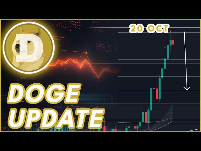 DOGE DUMP WARNING! | DOGECOIN (DOGE) PRICE PREDICTION & NEWS 2024!