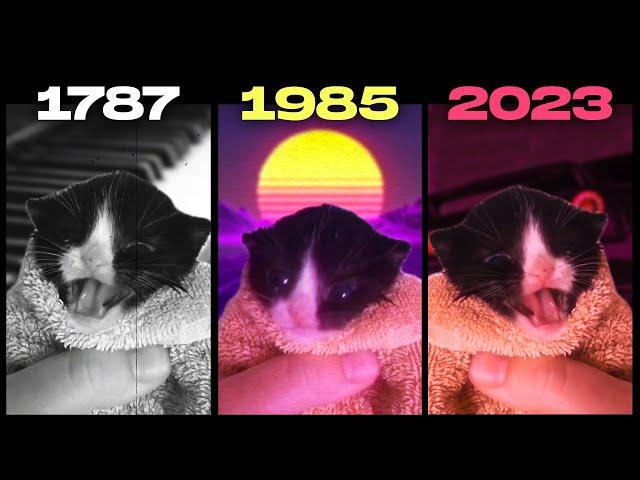 Kitten in towel MEOW, but in different years