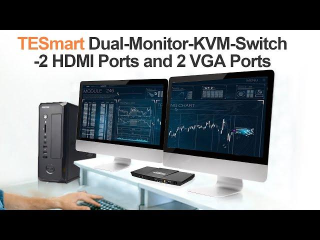 [TESmart] Dual-Monitor-KVM-Switch (2 HDMI Ports and 2 VGA Ports)