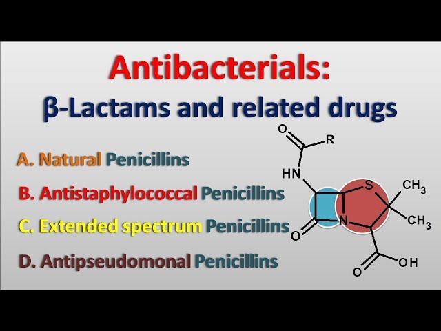 Antibacterials || Beta-lactam antibiotics and related drugs