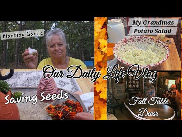 Planting Garlic / Grandma's Potato Salad/ Saving flower Seeds/ Fall Decor