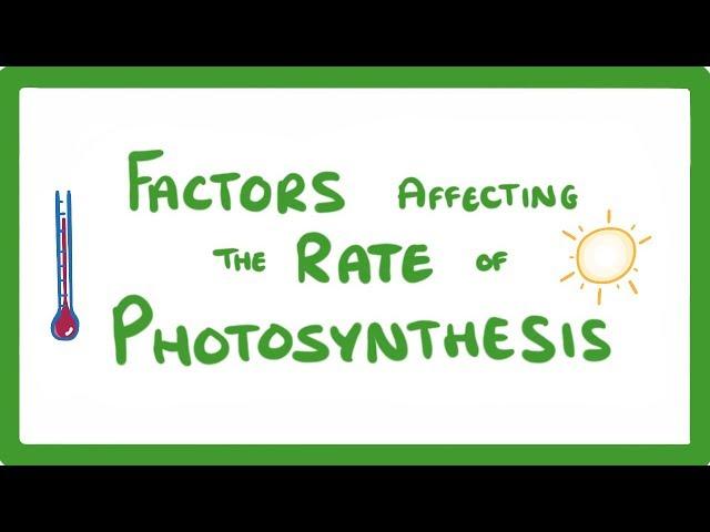 GCSE Biology - Factors Affecting the Rate of Photosynthesis  #49