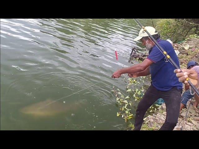 Beautiful river scape |catching big rohu fishes with single hook|awesome fishing video