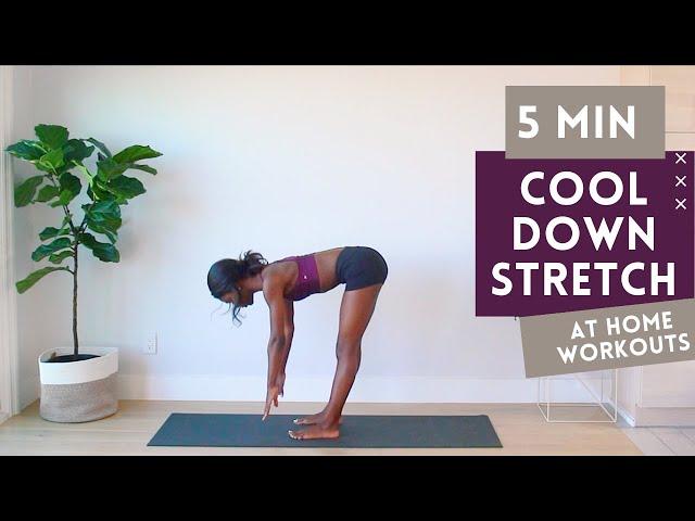 5 MIN FULL BODY COOL DOWN STRETCHES || POST- WORKOUT FOR FLEXIBILITY || DO THIS AFTER EVERY WORKOUT