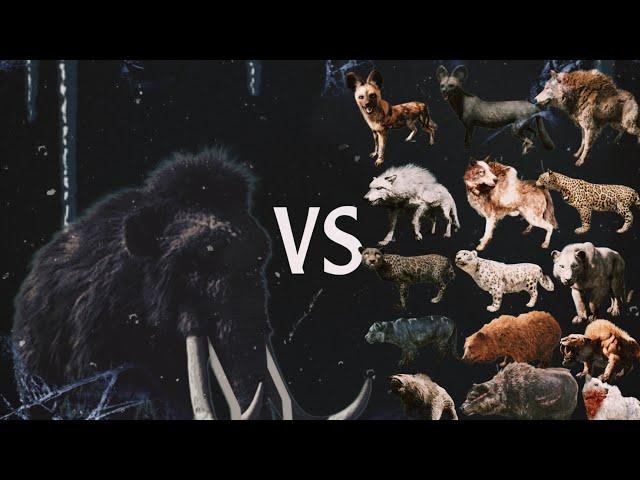 BloodTusk mammoth VS ALL Beast master #PlayHard #GameTime #HighScore