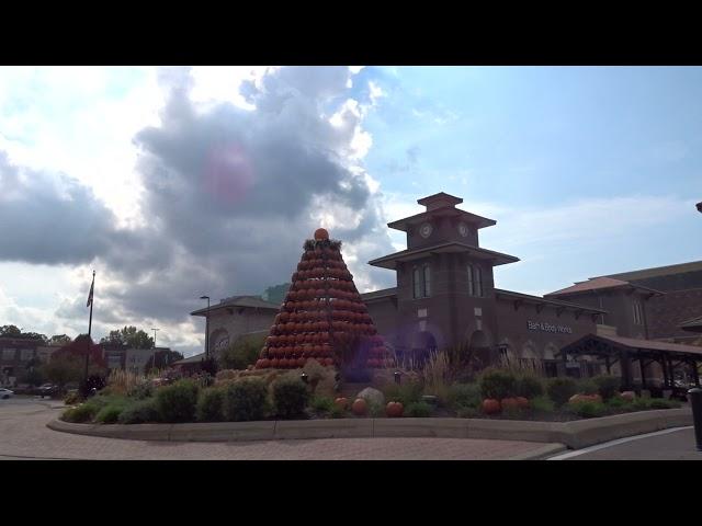 ️2021 Pumpkin Tree at Greenway Station in Middleton