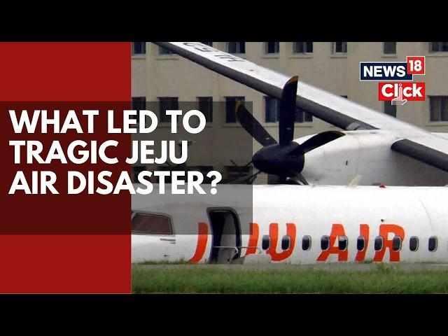 South Korea News Today |  What Led To South Korea Plane Crash | Jeju Air Flight Crash | N18G