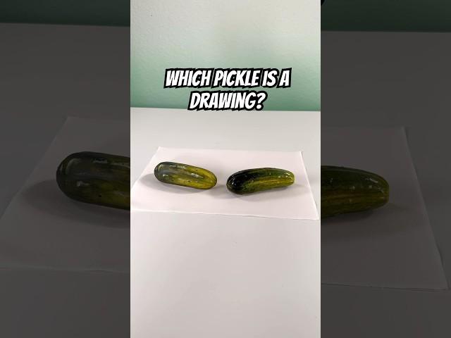 Which Pickle is a Drawing? #hyperrealism