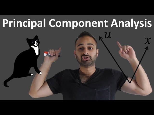 Basics of PCA (Principal Component Analysis) : Data Science Concepts