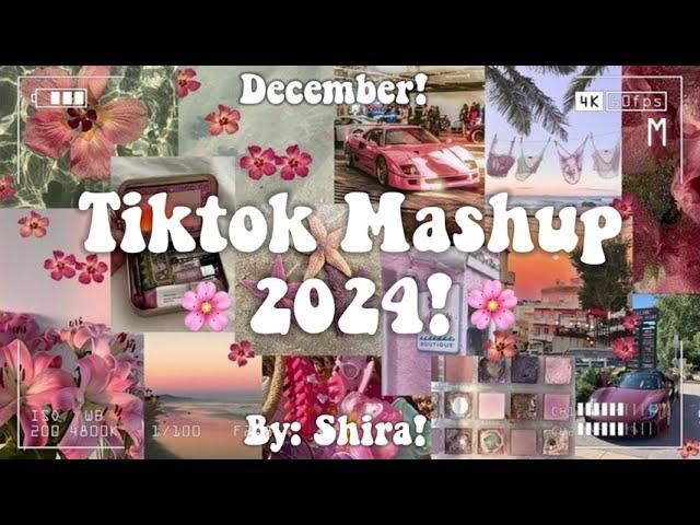 Tiktok Mashup 2024! 