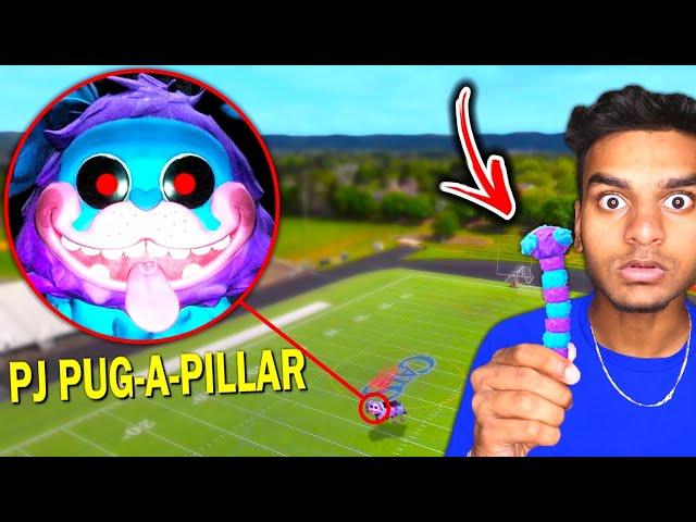 Do Not Use PJ PUG-A-PILLAR VOODOO DOLL!! *PJ PUG A PILLAR From POPPY PLAYTIME CHAPTER 2*