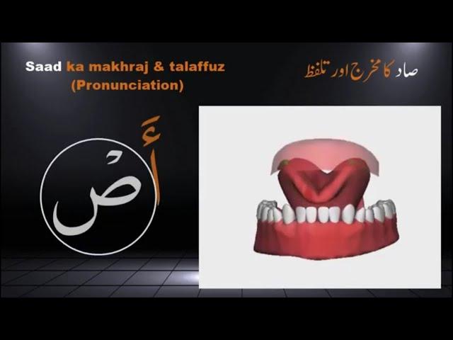 Tajweed Quran | Quran Tajweed | Arabic Alphabet with pronunciation | Tajweed Makhraj 3D | Arabic