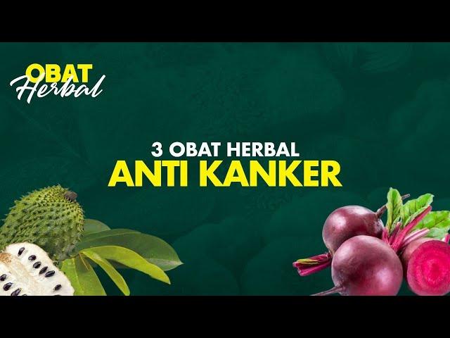 3 Obat Herbal Terbukti Mencegah Kita dari Penyakit Kanker | Hidup Sehat