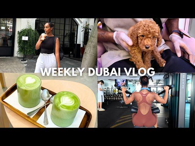 Weekly Dubai Vlog | Getting back into a fitness routine, home decor, pilates & cute puppies