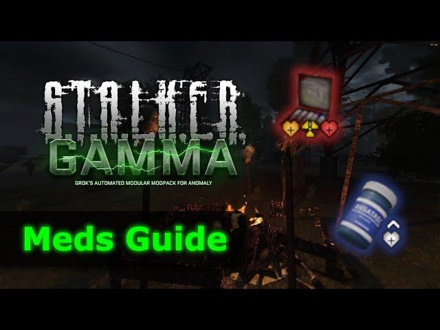 The MEDS Guide For STALKER GAMMA