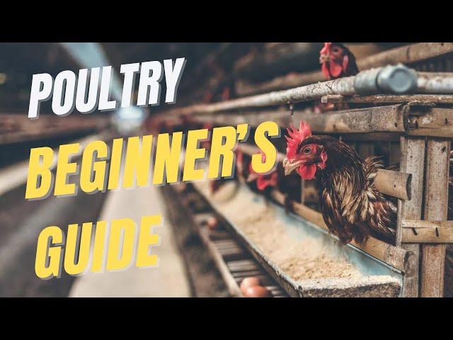Poultry farming full guide for beginners - The FarmGuide Sn1 E2