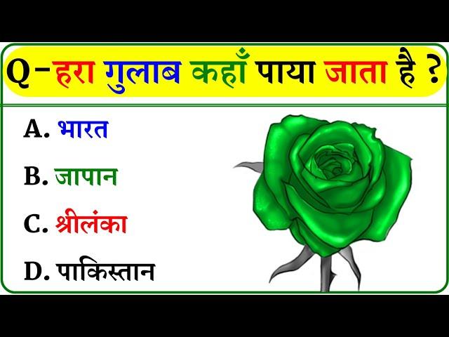 GK Question || GK In Hindi || GK Question and Answer || GK Quiz ||