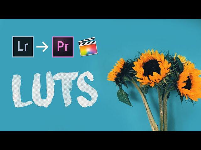 CONVERT LIGHTROOM PRESETS INTO LUTS // How to Color Grade using Lightroom Presets