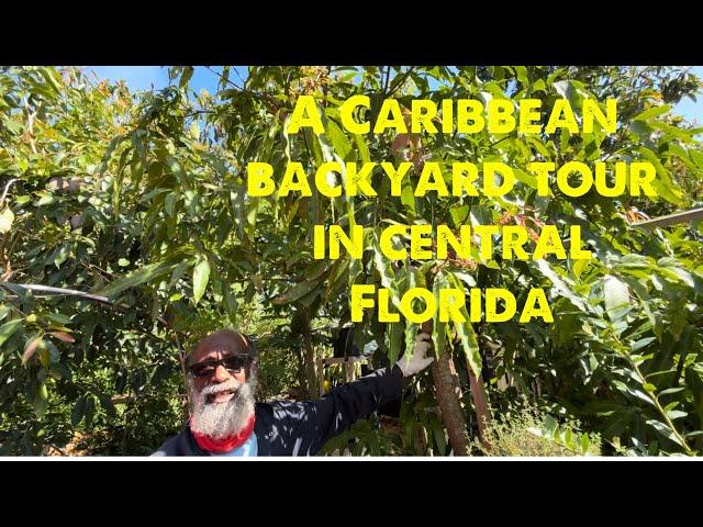 An Amazon Caribbean backyard garden tour