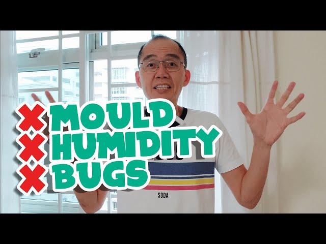 How to Remove Mould Humidity Tiny Wall Bugs in High Humidity Homes