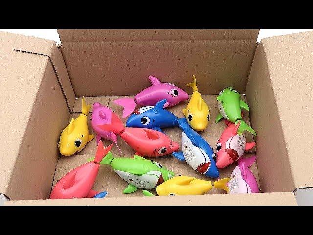 15 Shark Family In Surprise Box - Baby Shark Transformer Sea Animals Toys For Kids 아기상어 가족