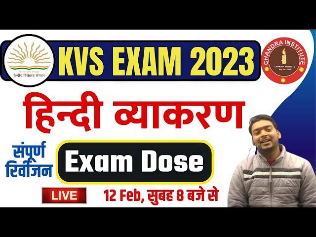 KVS PRT HINDI 2023 | महामैराथन #02 | kvs prt hindi grammer class | kvs prt hindi marathon class 2023