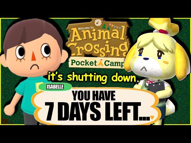 I Spent 7 Days In Animal Crossing Pocket Camp...on mobile