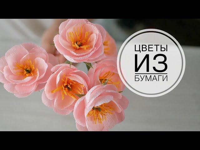 Paper Flower / Простые цветы из бумаги / DIY TSVORIC