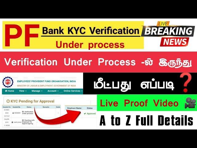 PF Account Verification Under Process best solution In live proof this video & full details in tamil