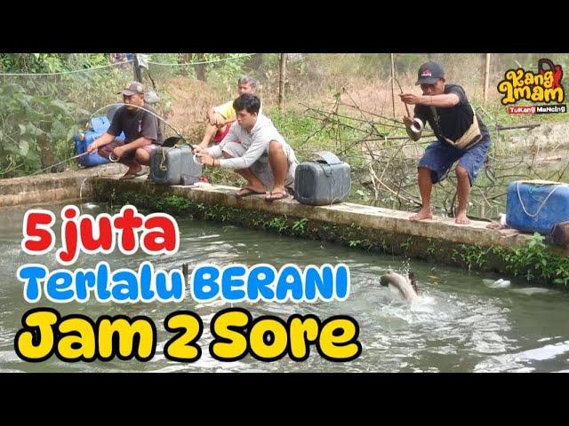 166 : sungguh terlalu Berani !! mancing lele harga 5 juta baru dimulai jam 2 sore