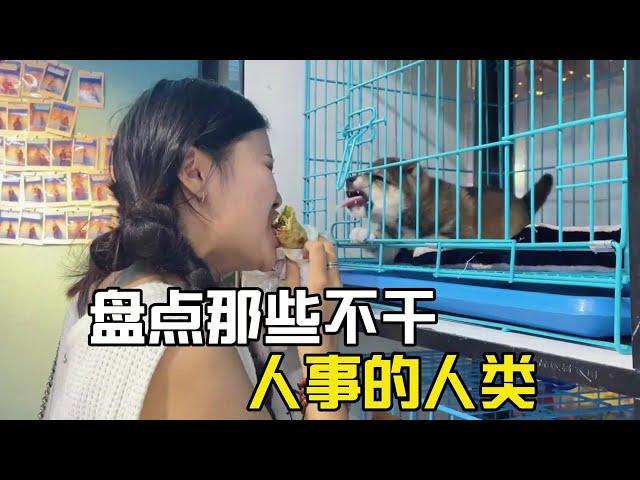 盤點那些不干人事的人類，貓狗：誰懂啊，我們這輩子沒這麼無語過！#爆笑 #萌宠 #萌寵 #搞笑 #搞笑视频 #搞笑挑战 #搞笑合集 #搞笑視頻