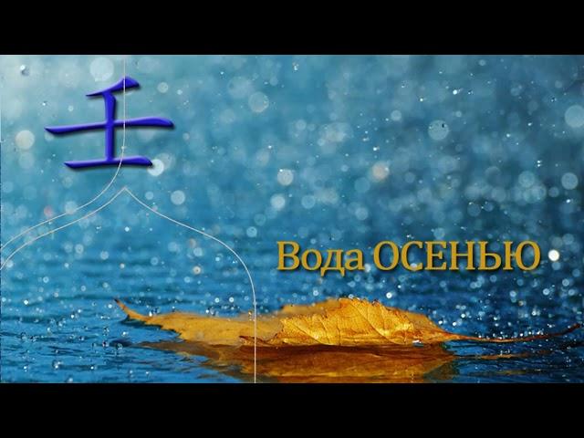 АВГУСТ - МЕСЯЦ ВОДНОЙ ОБЕЗЬЯНЫ- С ЧЕМ СТОЛКНЕМСЯ, ЧТО ПОРАДУЕТ- ЧТО БУДЕТ ВАЖНО? АСТРОЛОГИЯ БАЦЗЫ