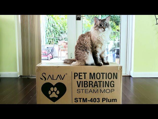 Salav Pet Motion Vibrating Steam Mop Review!