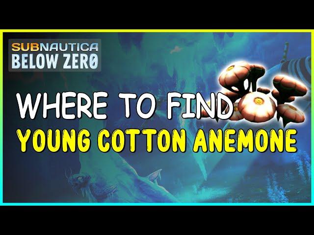 WHERE TO FIND YOUNG COTTON ANEMONE IN SUBNAUTICA BELOW ZERO