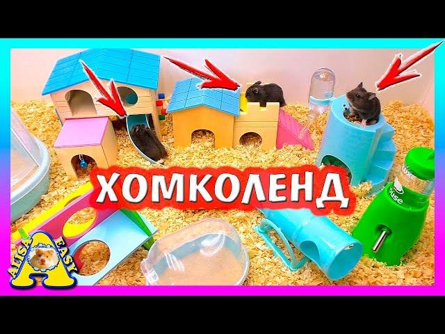 ДЕНЬ РОЖДЕНИЯ ХОМЯЧАТ / ПОДАРКИ ДЛЯ ХОМКИ / Alisa Easy Pets