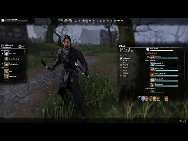 Elder Scrolls Online: Dual Wield Skill line