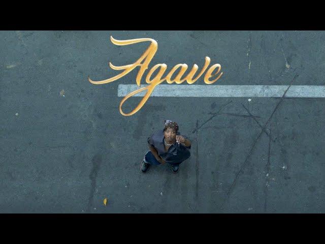 okay coleman! - Agave (Official Video)