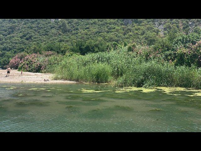 Exploring the ‘hippy neighbourhood’ of Olympos