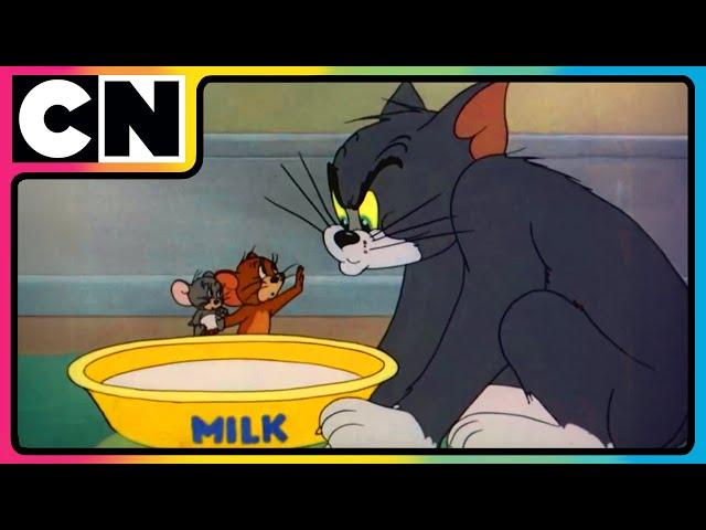 Tom & Jerry | National Milk Day  | Tom’s Explosive Milkshake Recipe! | @cnindia