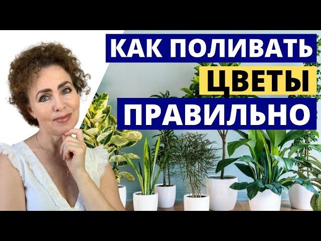 Как поливать комнатные цветы. Вода для полива растений.