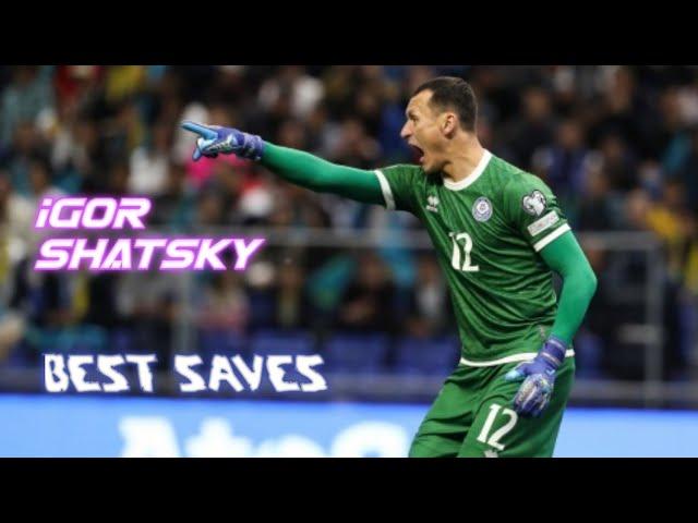 BEST SAVES | IGOR SHATSKY | ИГОРЬ ШАЦКИЙ | FC ШАХТЕР