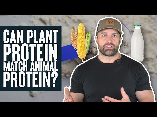 Can Plant Protein Match Animal Protein? | Educational Video | Biolayne